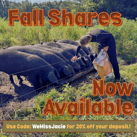 Fall Shares